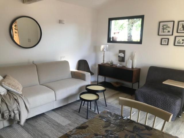 La Brindille Petit Mas Provencal Meuble De Tourisme 3 Etoiles 2-3 Personnes 1 Piece 30 M2 Tout Confort Lisiere Foret Jardin Jacuzzi Piscine Saint-Paul-en-Forêt Exterior foto
