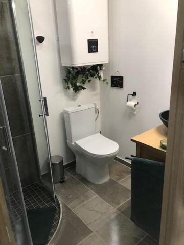 La Brindille Petit Mas Provencal Meuble De Tourisme 3 Etoiles 2-3 Personnes 1 Piece 30 M2 Tout Confort Lisiere Foret Jardin Jacuzzi Piscine Saint-Paul-en-Forêt Exterior foto