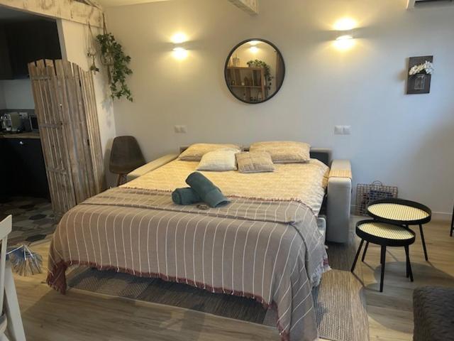 La Brindille Petit Mas Provencal Meuble De Tourisme 3 Etoiles 2-3 Personnes 1 Piece 30 M2 Tout Confort Lisiere Foret Jardin Jacuzzi Piscine Saint-Paul-en-Forêt Exterior foto